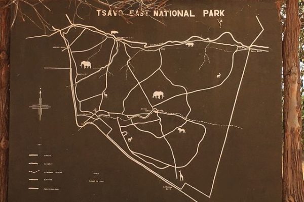 Kenia, Safari, Tsavo