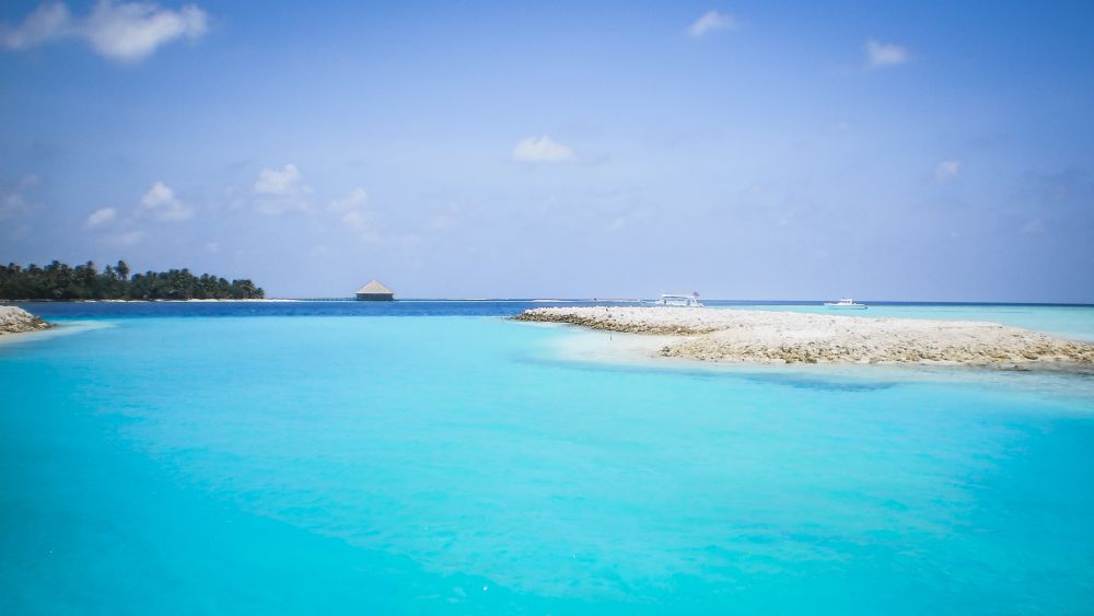 Tauchen auf den Malediven