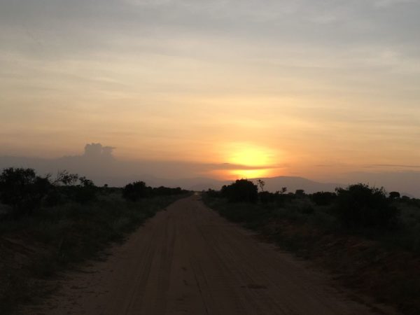 Urlaub in Kenia, zu Besuch im Tsavo Nationalpark