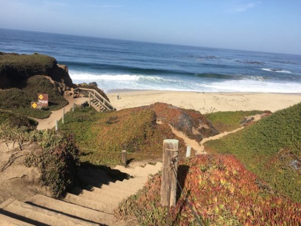 Küste, Kalifornien, Big Sur, Highway 1