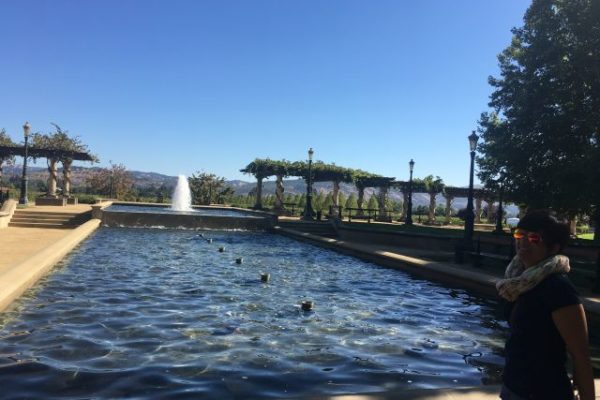 Wein, Napa, Reisebericht, Kalifornien