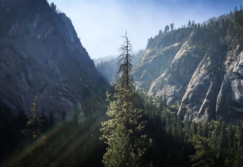 Ein Tag im Yosemite Nationalpark