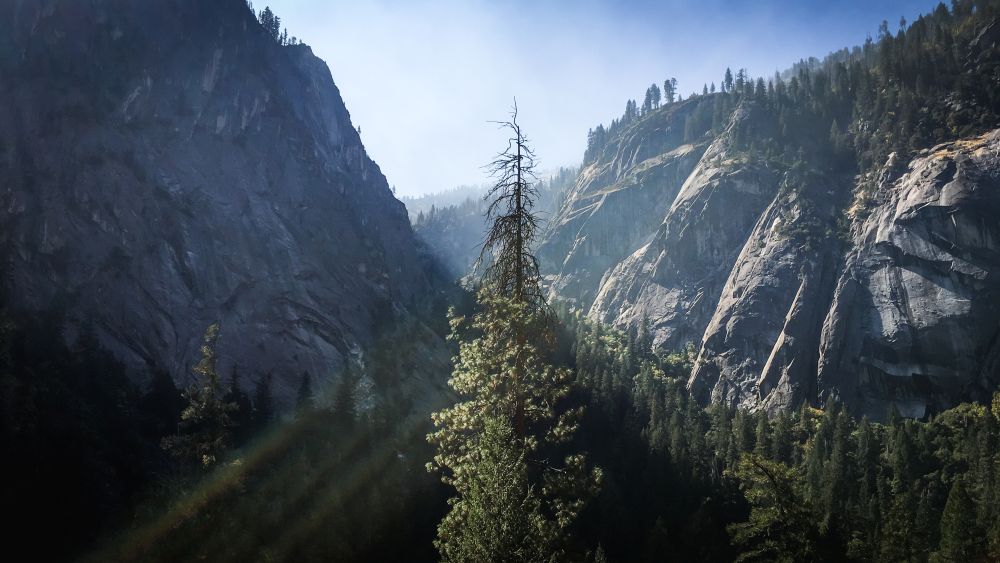 Ein Tag im Yosemite Nationalpark