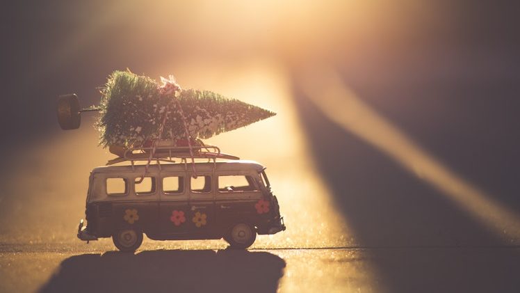 Über Weihnachten in die Sonne