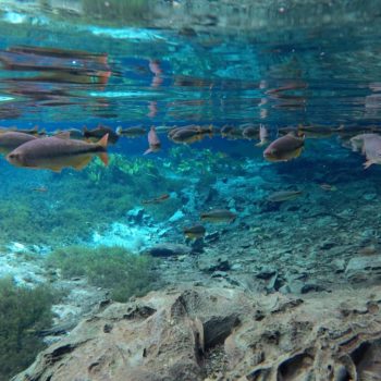 Auf der philippinischen Insel Siargao, solltest du den Magpupungko Pool nicht verpassen