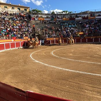 Mallorca_Reisetipps_Informationen