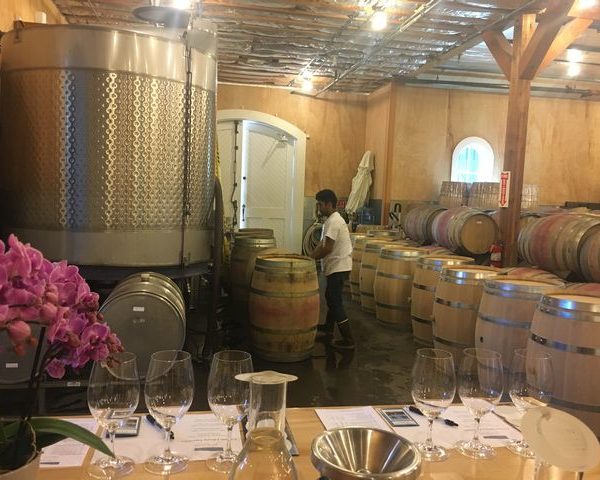 Valley, Wein, Kalifornien