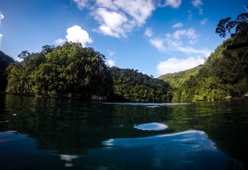 Mangrovenwälder auf Siargao