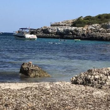 Mallorca, Immobilie, Umbau, Kiten