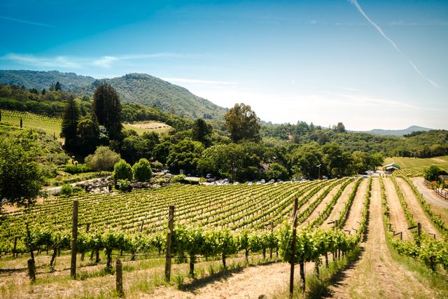 Kalifornien: Napa und Sonoma Valley