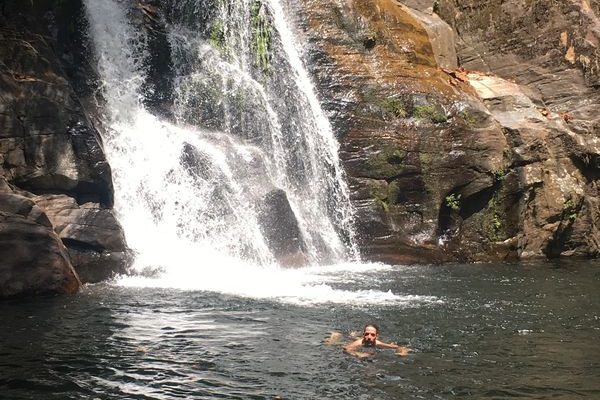 Sri Lanka, Reisebericht, Regenwald