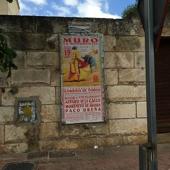 Mallorca_Reisetipps_Informationen