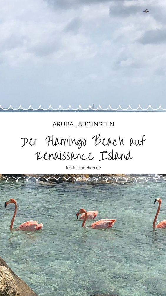 Urlaub auf Aruba, Renaissance Island, Flamingos