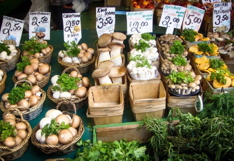 Mein Auslandsjahr in Kanada hat mir so viel gebracht!