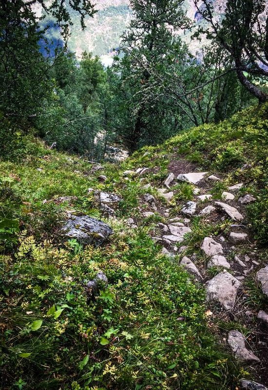 Norwegen, Wanderung auf den Storehaugen