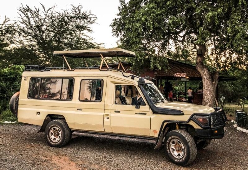 Safari in Kenia, entdecke Ostafrika