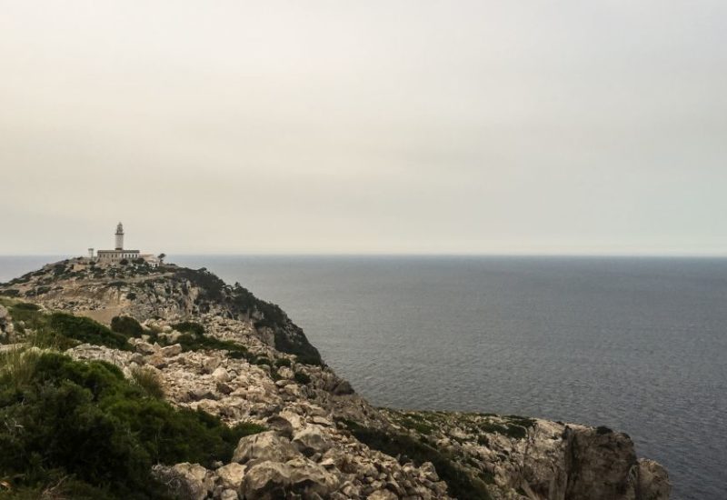 Palma de Mallorca im Frühling