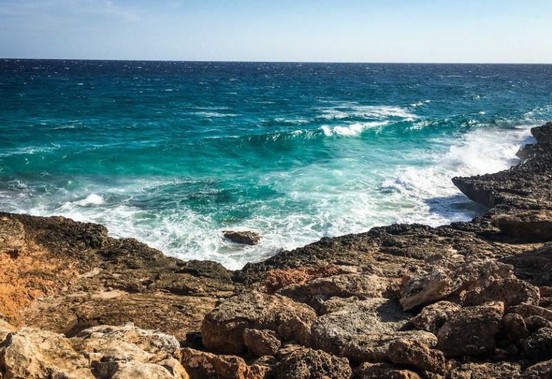 Die Baleareninsel Mallorca hat im Frühling schon jede Menge zu bieten!