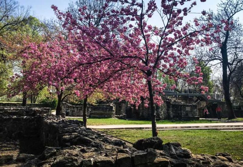 Die Margareteninsel, Budapest