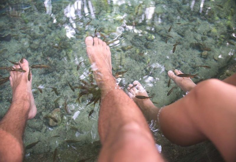 Füße werden von Fischen angeknabbert - Fish Spa Siquijor