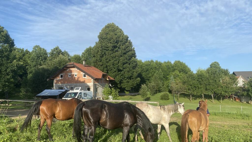 Kroatien, campen auf einer Farm