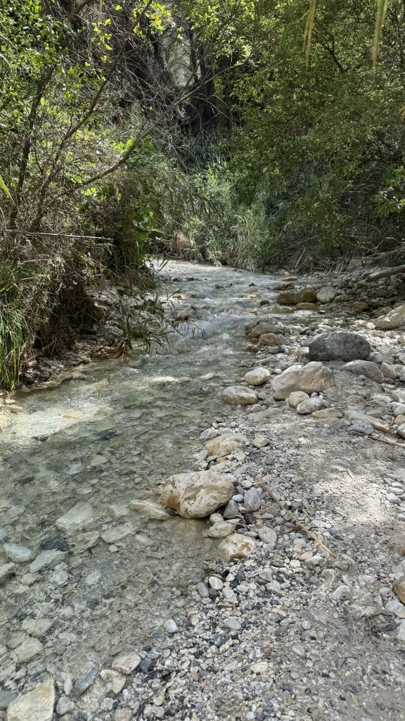 Wanderung am Rio Chillar, Nerja, Andalusien