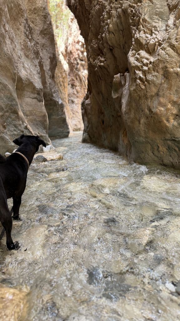 Wanderung am Rio Chillar, Nerja, Andalusien