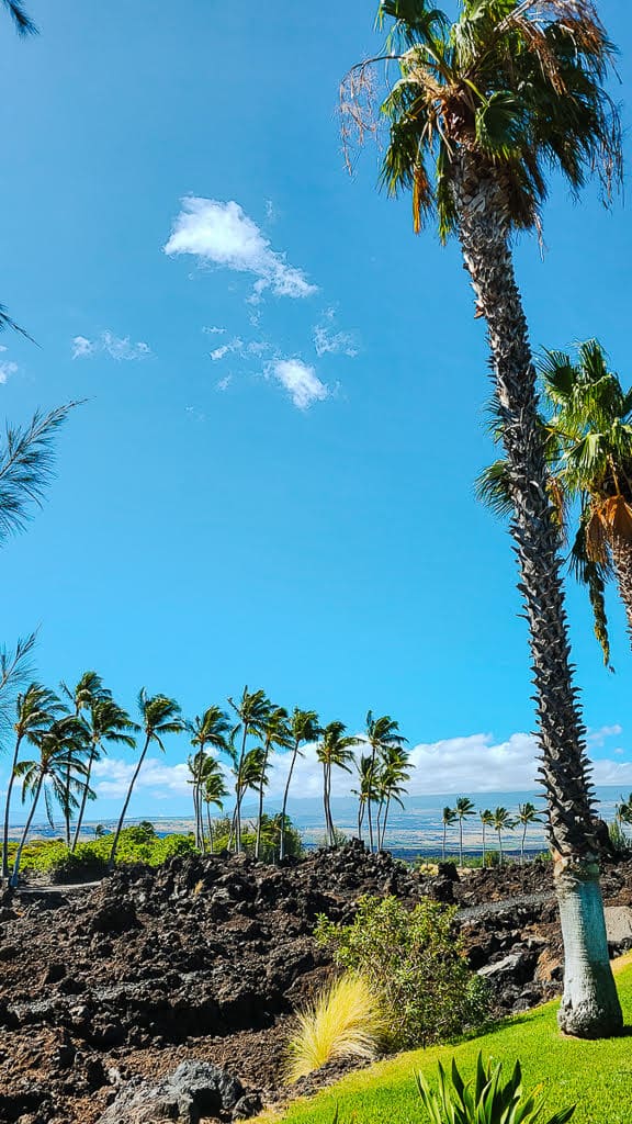 Surfen auf Hawaii